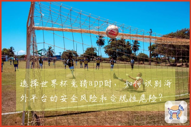 选择世界杯竞猜app时，如何识别海外平台的安全风险和合规性危险？