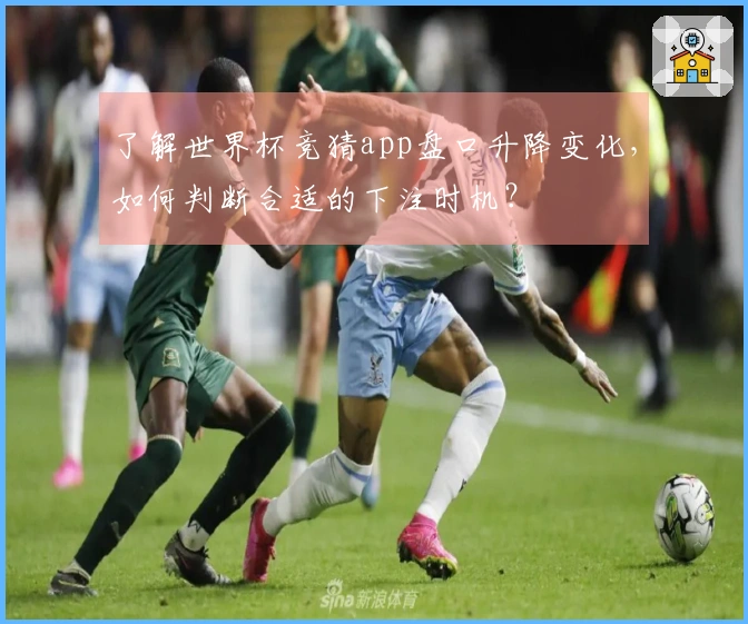 了解世界杯竞猜app盘口升降变化，如何判断合适的下注时机？
