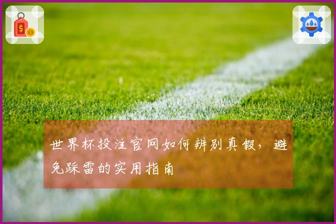 世界杯投注官网如何辨别真假，避免踩雷的实用指南
