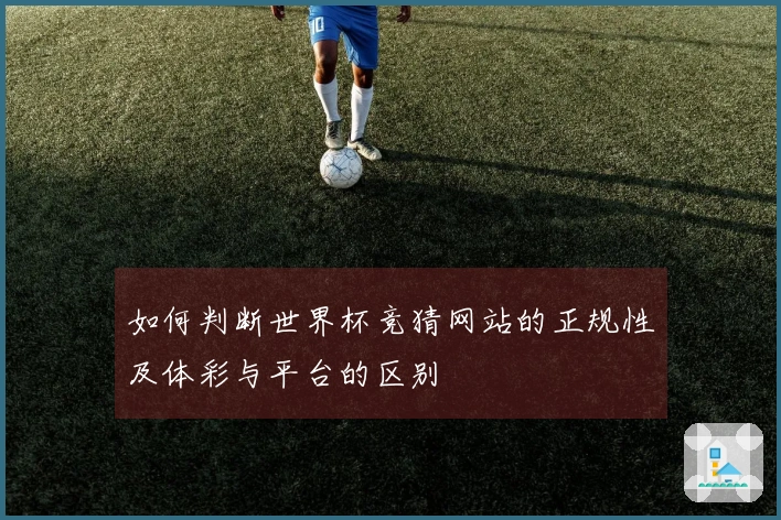 如何判断世界杯竞猜网站的正规性及体彩与平台的区别