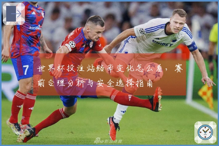 世界杯投注站赔率变化怎么看，赛前合理分析与安全选择指南