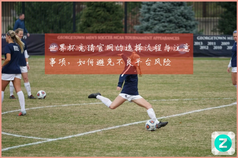 世界杯竞猜官网的选择流程与注意事项，如何避免不良平台风险