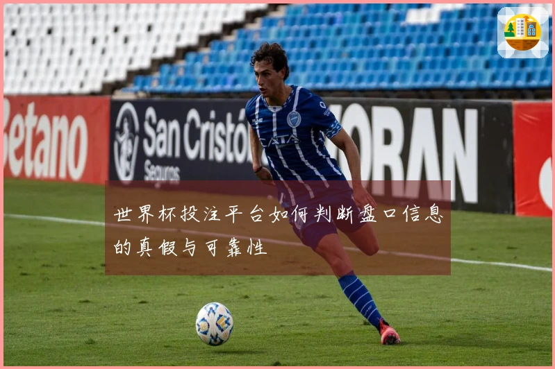 世界杯投注平台如何判断盘口信息的真假与可靠性
