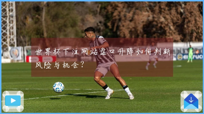 世界杯下注网站盘口升降如何判断风险与机会？