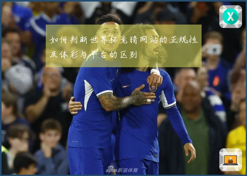 如何判断世界杯竞猜网站的正规性及体彩与平台的区别