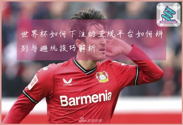 世界杯如何下注的正规平台如何辨别与避坑技巧解析