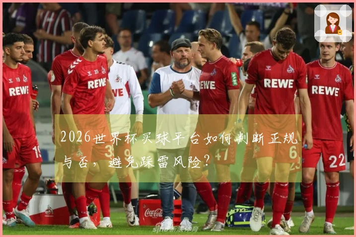 2026世界杯买球平台如何判断正规与否，避免踩雷风险？