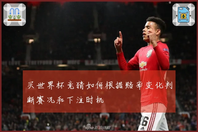 买世界杯竞猜如何根据赔率变化判断赛况和下注时机