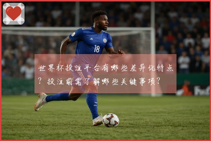 世界杯投注平台有哪些差异化特点？投注前需了解哪些关键事项？
