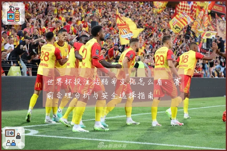 世界杯投注站赔率变化怎么看，赛前合理分析与安全选择指南