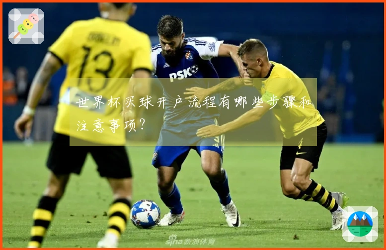 世界杯买球开户流程有哪些步骤和注意事项？