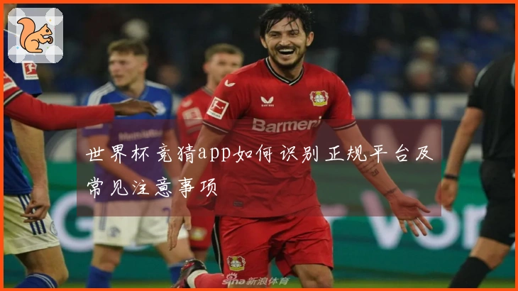 世界杯竞猜app如何识别正规平台及常见注意事项