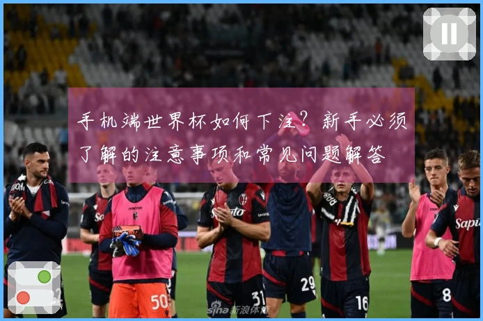 手机端世界杯如何下注？新手必须了解的注意事项和常见问题解答
