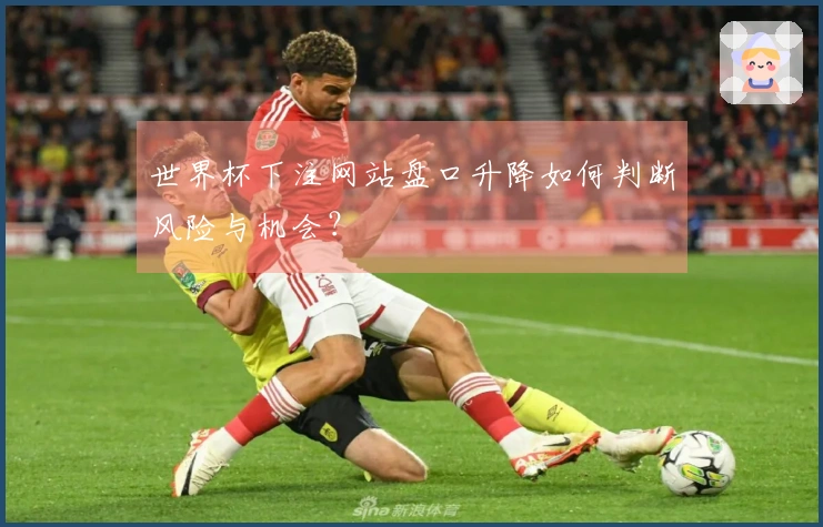 世界杯下注网站盘口升降如何判断风险与机会？