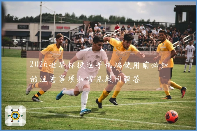 2026世界杯投注手机端使用前必知的注意事项和常见疑问解答