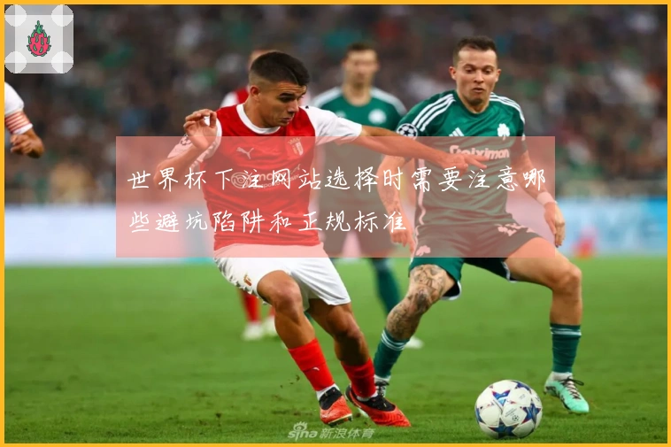 世界杯下注网站选择时需要注意哪些避坑陷阱和正规标准