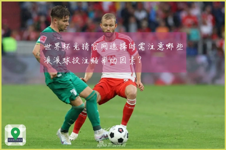 世界杯竞猜官网选择时需注意哪些滚滚球投注赔率的因素？