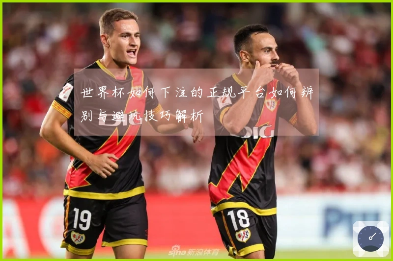 世界杯如何下注的正规平台如何辨别与避坑技巧解析