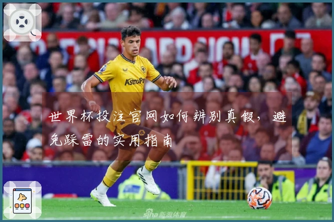 世界杯投注官网如何辨别真假，避免踩雷的实用指南